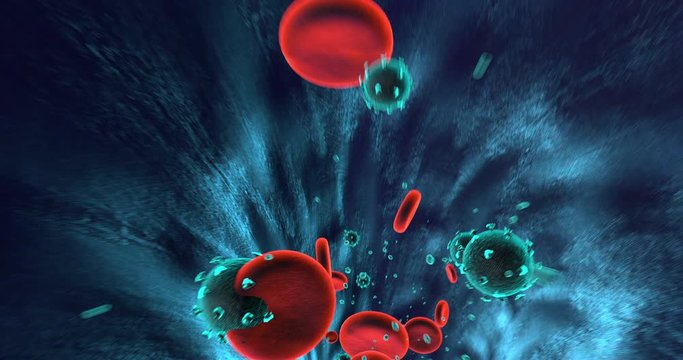 Virus Infected Human Body. Viruses And blood Cells Flowing. Perfect Loop. Science And Health Related High Quality 3D Animation.