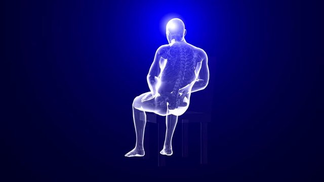 Anatomy seated - Frontal Cortex / Headache pain