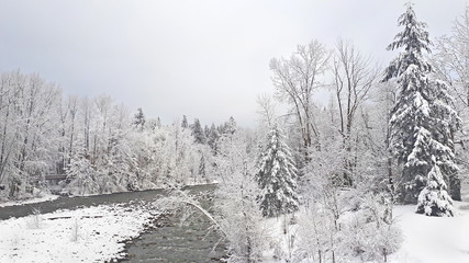 Beautiful magical winter time in West Vancouver, BC. The view on frozen Capilano River and trees covered with snow and frost. Grey sky in the background.