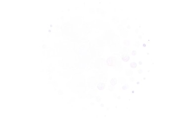 Light Purple vector doodle pattern with roses.