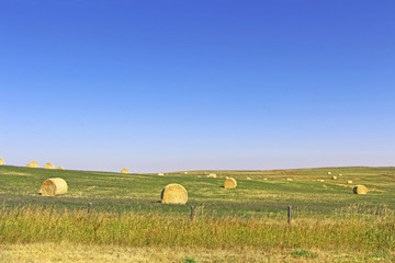 Rural summer scene - hay sheafs / blocks on the beautiful green grass field. Blue sky in the background.