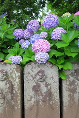 路傍の六地蔵と紫陽花咲く風景