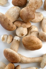 Cogumelos Funghi Porcini