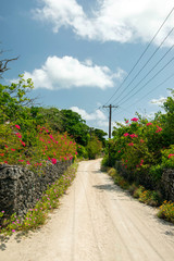 沖縄県　竹富島の竹富町集落