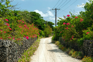 沖縄県　竹富島の竹富町集落