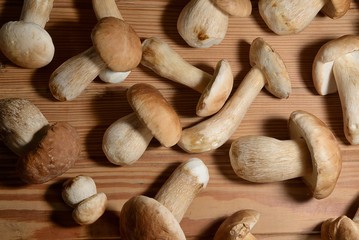 Cogumelos Funghi Porcini