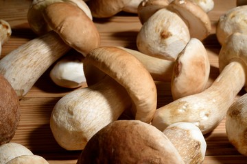 Cogumelos Funghi Porcini