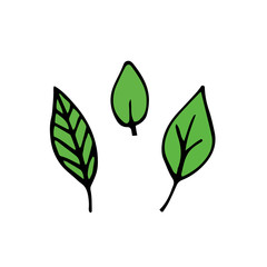 Vector set of leaves isolated on white background. hand drawn eco set of leaves isolated.Set of hand drawn leaves.drawn set of small green leaves isolated.simple green leaves isolated