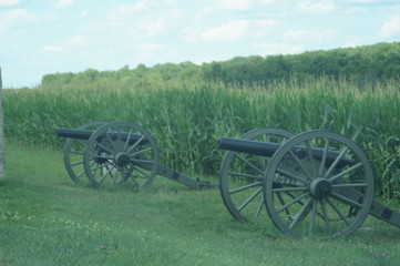 Fototapeta na wymiar old cannon on a farm