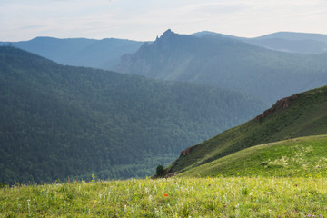 Amazing mountain landscape with colorful flowers at sunset, outdoor travel destination. Beautiful summer nature