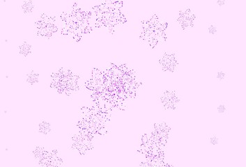 Light Purple, Pink vector natural background with flowers.
