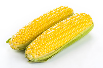 Sweet corn on white background