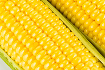 Sweet corn on white background