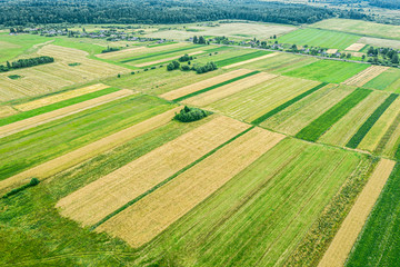 beautiful green agricultural fields landscape viewed from flying drone