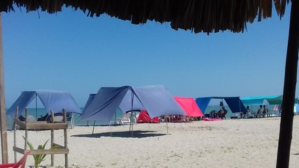Sunny beach day
