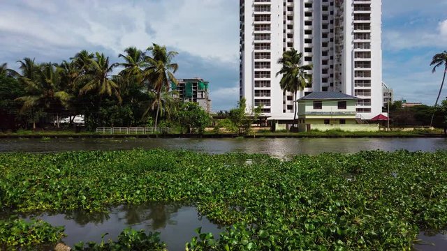 Aquatic plants flow through the lake during high tide.