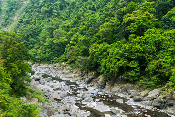 Fototapeta na wymiar Valley of the river with Beautiful forest in Taiwan.