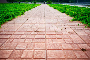 walkway in the garden public.