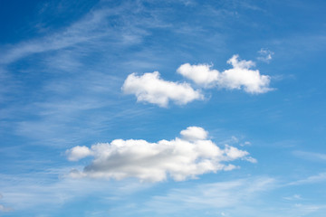 Naklejka na ściany i meble Background. Cirrus clouds in a blue sky