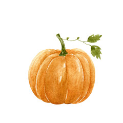 One autumn pumpkin with green leaves isolated on white background. Watercolor hand-drawn illustration. Perfect for your project, greeting cards, prints, covers, patterns, invitations, menu, logo.