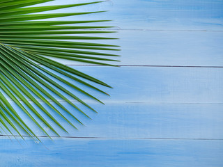 Coconut leave on blue wooden background