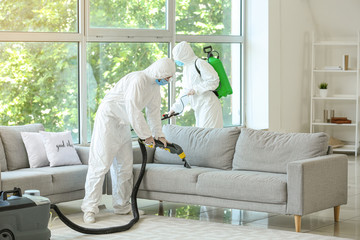 Workers in biohazard costume removing dirt from sofa in house - obrazy, fototapety, plakaty