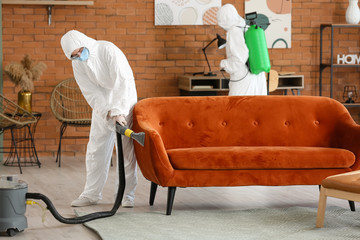 Workers in biohazard costume removing dirt from sofa in house - obrazy, fototapety, plakaty