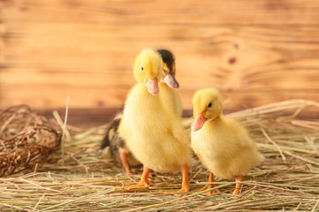 Cute ducklings on wooden background