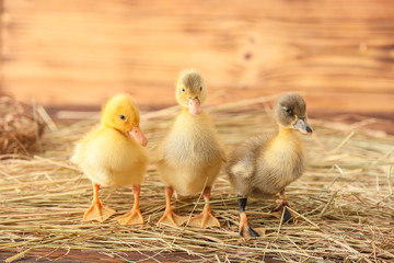 Cute ducklings on wooden background