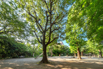 三田丘の上公園