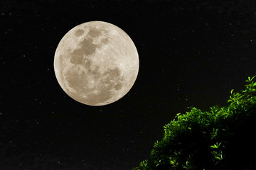 Fototapeta na wymiar Full moon with real stars in the night.
