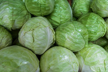 Fototapeta na wymiar The agricultural market sells a lot of ripe white cabbage
