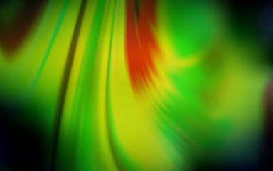 Obraz premium Dark Green, Yellow vector blurred bright texture. Colorful illustration in abstract style with gradient. New style for your business design.