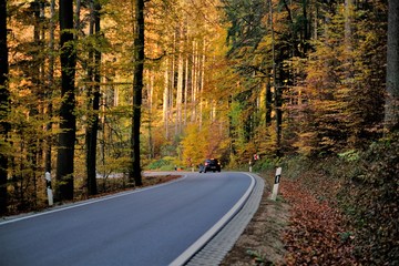 Obraz premium Autumn Road view. Autumn beautiful nature landscape. Autumn travel and trips. Fall wallpaper