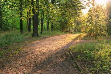 Obraz premium Landscape overlooking a walkway with a park bench at sunset
