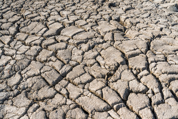 dry and cracked ground as a background