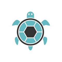 Obraz premium .bicolor tortoise icon, graphic illustration from Pet-vet collection, for web and app design