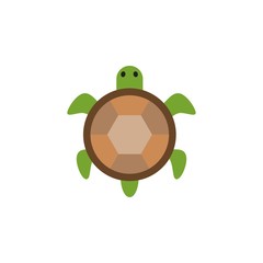 .flat tortoise icon, simple sign and symbol from Pet-vet collection, design element for User Interface