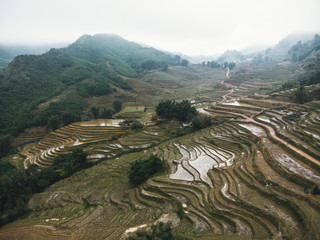 Panoramic view of Terraced rice field in Sapa, Lao Cai, Vietnam. the rainy season in Vietnam. Rice terraces in fog