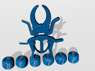 beetle cubic letters with 3D icon on the top - 3D illustration for bug and background