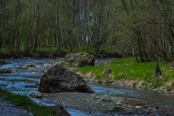 Naklejka na ściany i meble large rocks in a streambed at a nature reserve