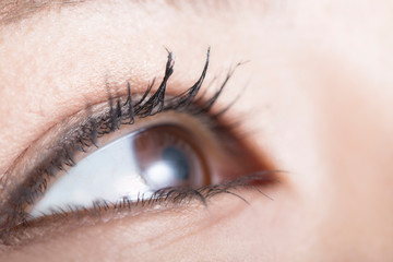 Obraz premium 女性の目元