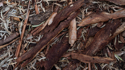 Sticks, bark texture mulch 