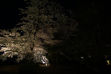 Night scenery at Matsumoto castle in Nagano, Japan