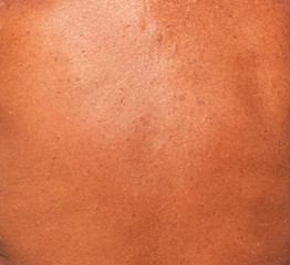 tanned back skin as background
