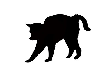 black silhouette of a cat on white background.