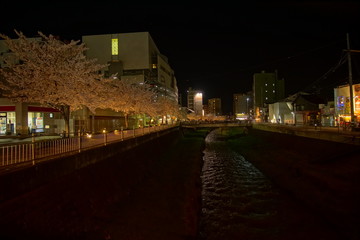 A night street at the city. Matsumoto, Nagano / Japan