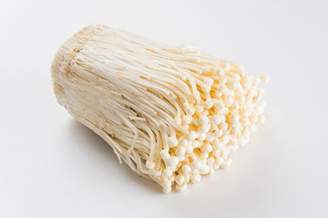 Flammulina velutipes isolated on white background