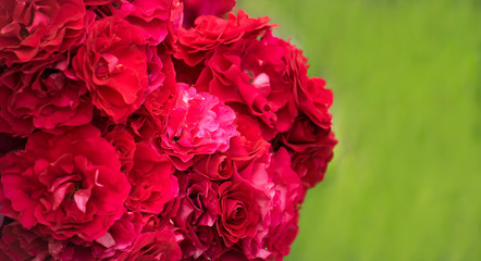 red bouquet of roses on a background of blurred green grass with a copy of space