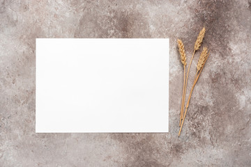 Business card mockup. Blank card and ears of ripe wheat. Beige grunge background. Minimalist office desktop. Modern brand template. Top view, flat lay.